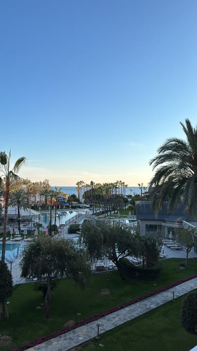 Ausblick Arum Barut Collection