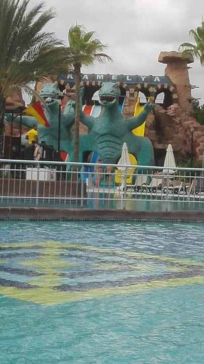 Sport & Freizeit Kamelya Aishen Club