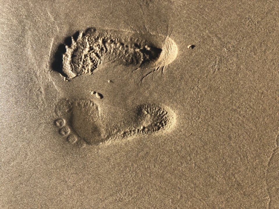 Strand Strandhotel Het Hoge Duin