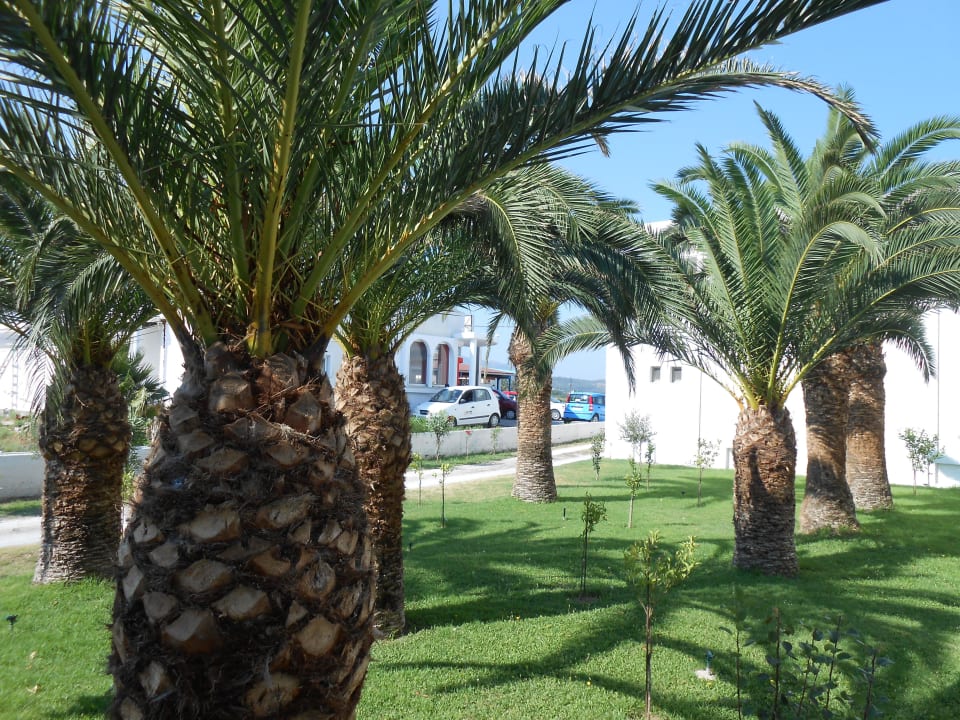 Gartenanlage Tropical Sol Hotel Tropical Sol