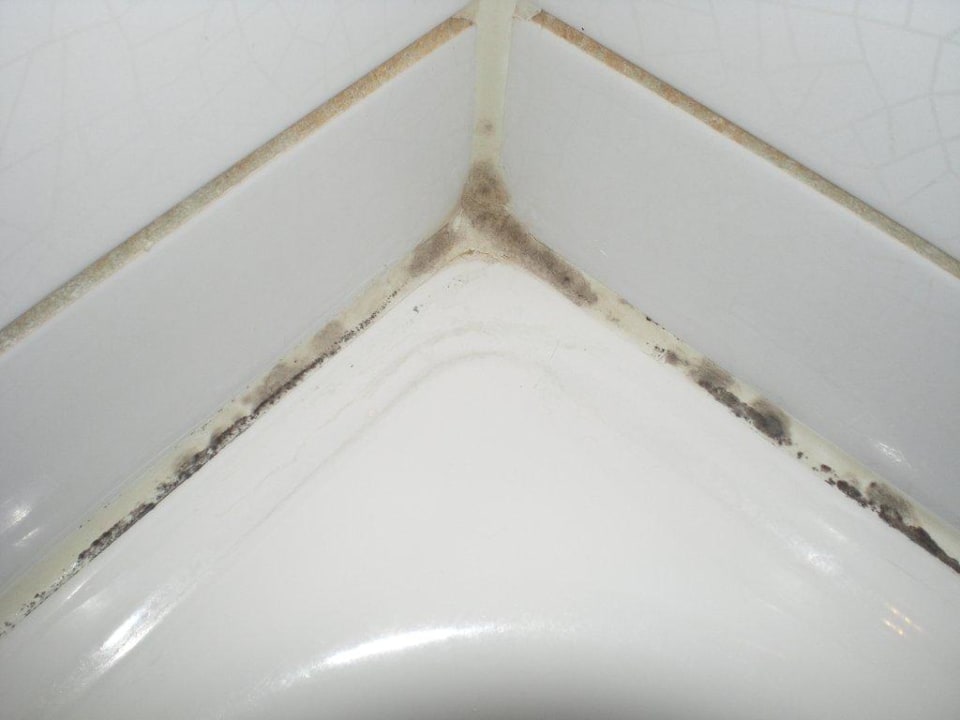 Duschwanne mit Schimmel Hotel & Aparthotel Casteau Resort Mons