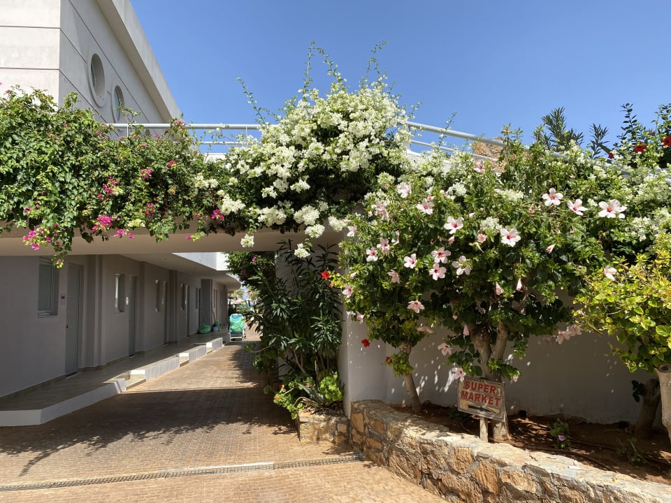 Sonstiges Lyttos Beach Hotel