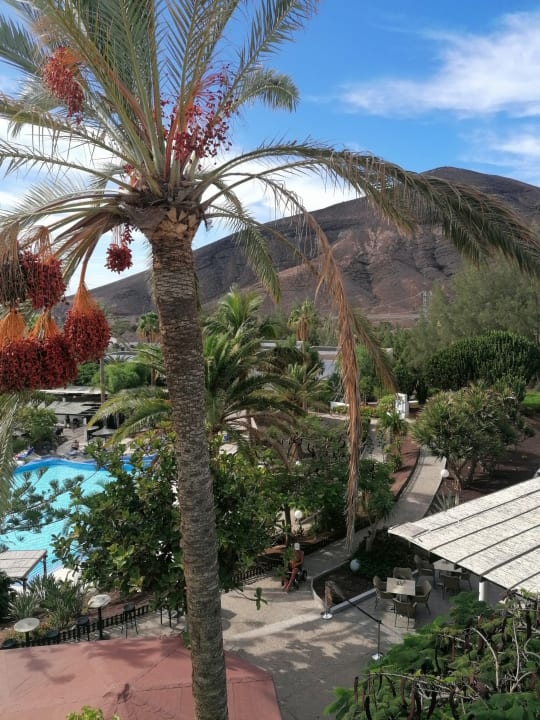 Gartenanlage allsun App.-Hotel Esquinzo Beach