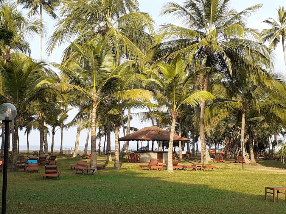 Gartenanlage Mermaid Hotel & Club