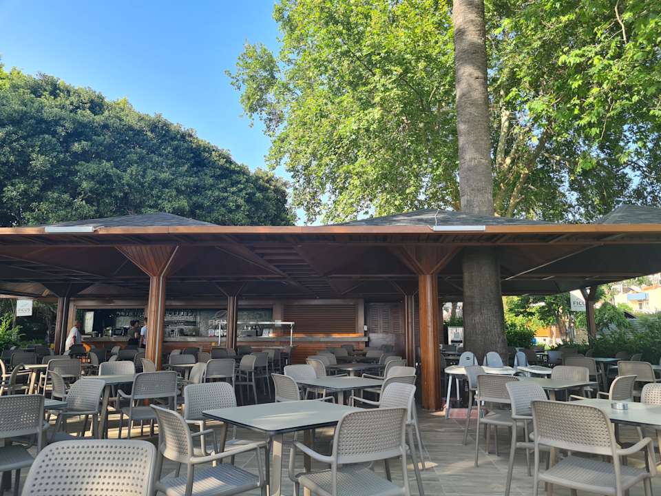 Strand Side Star Elegance