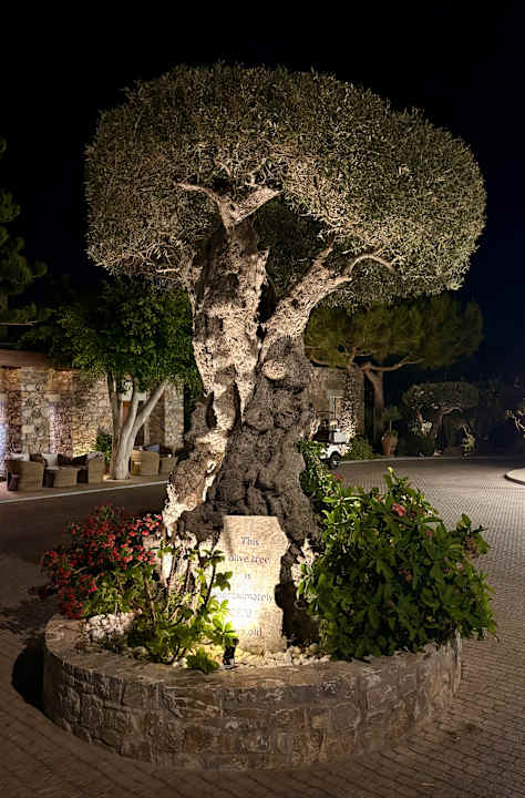 Gartenanlage Ikaros Beach Luxury Resort & Spa - Adults Only