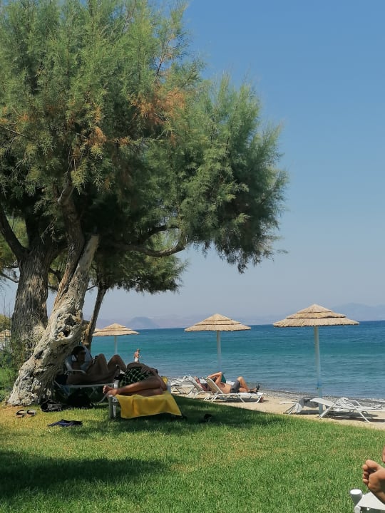 Strand TUI BLUE Oceanis Beach and Spa Resort