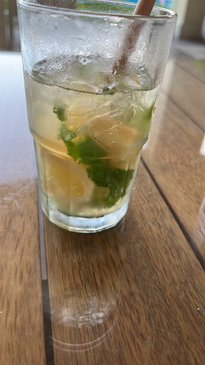 Gastro Paloma Oceana