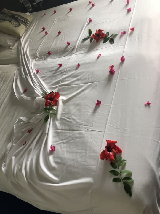 Zimmer Sentido Phenicia