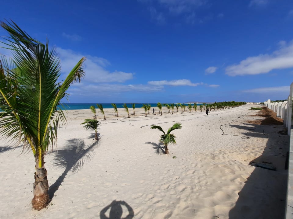 Ausblick Hotel Riu Palace Boavista