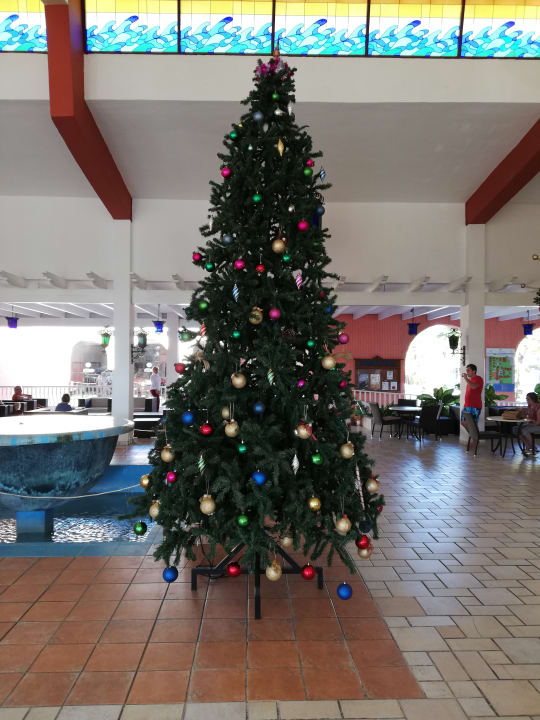 Lobby Hotel Roc Barlovento