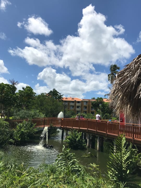 Gartenanlage Hotel Viva Dominicus Palace by Wyndham-All Inclusive Resort