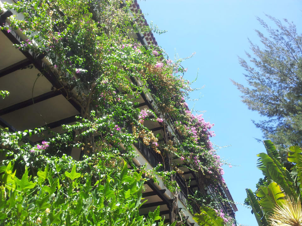 Impressionen Hotel Parque Tropical
