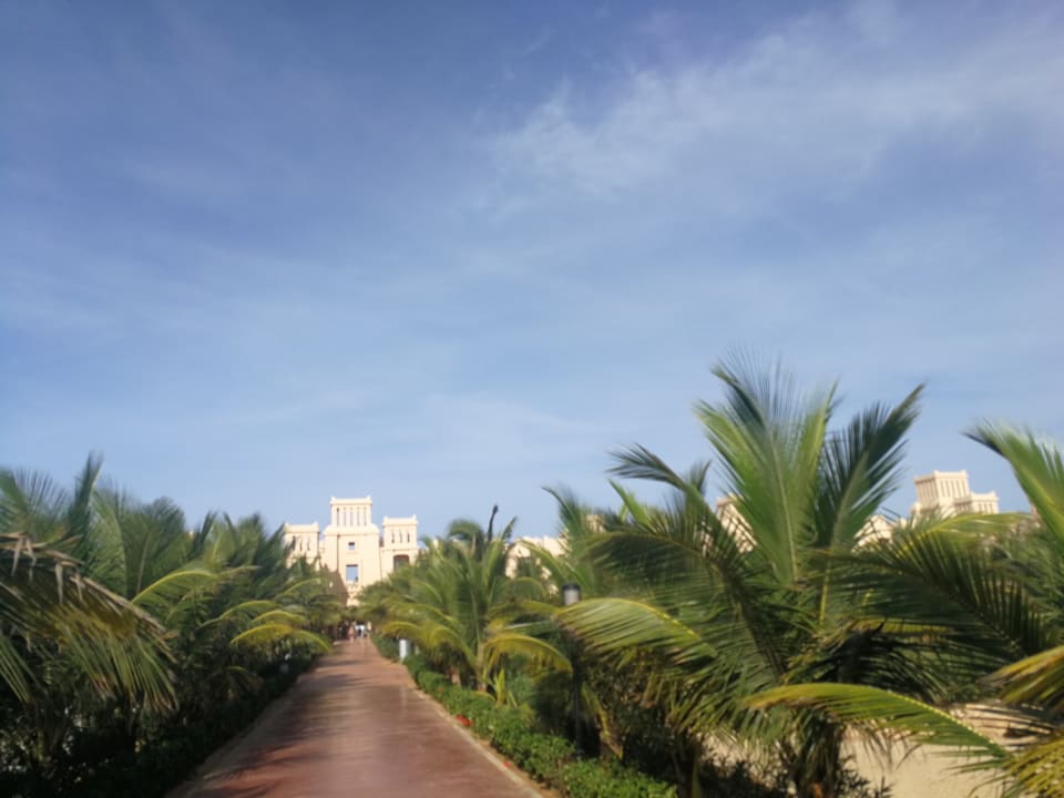 Gartenanlage Hotel Riu Touareg