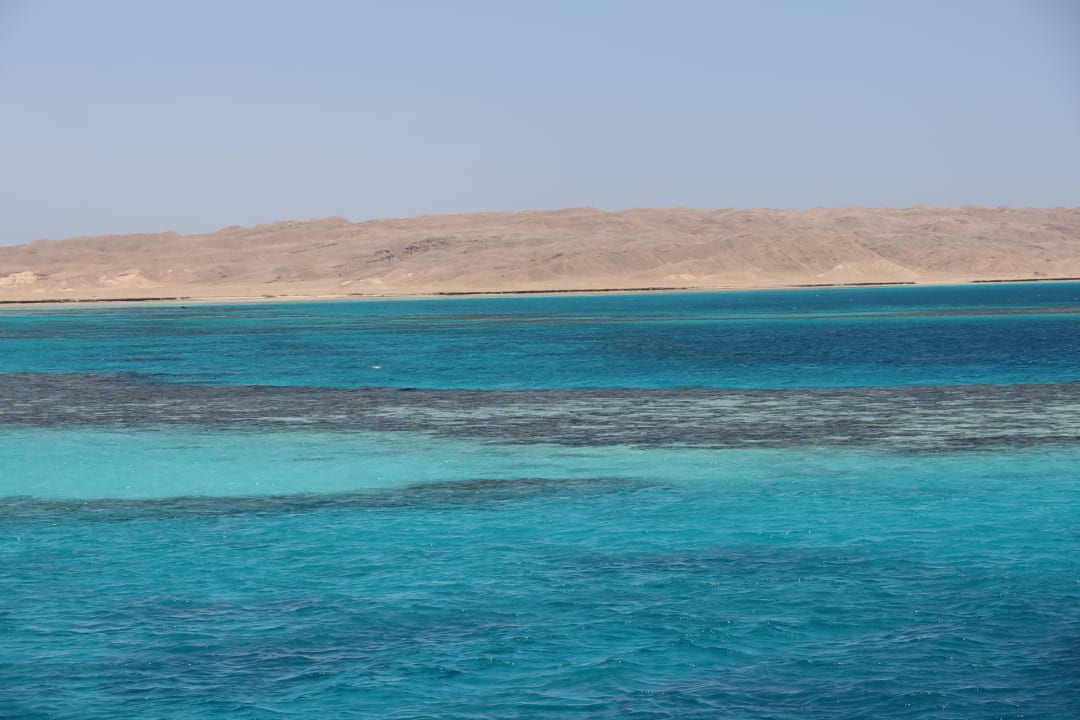 Sport & Freizeit Pickalbatros Citadel Resort