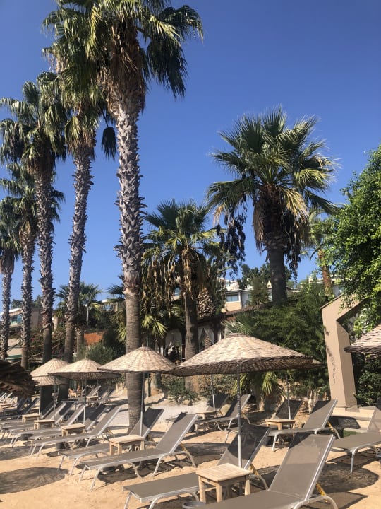 Strand TUI MAGIC LIFE Bodrum - Adult Only (16+)