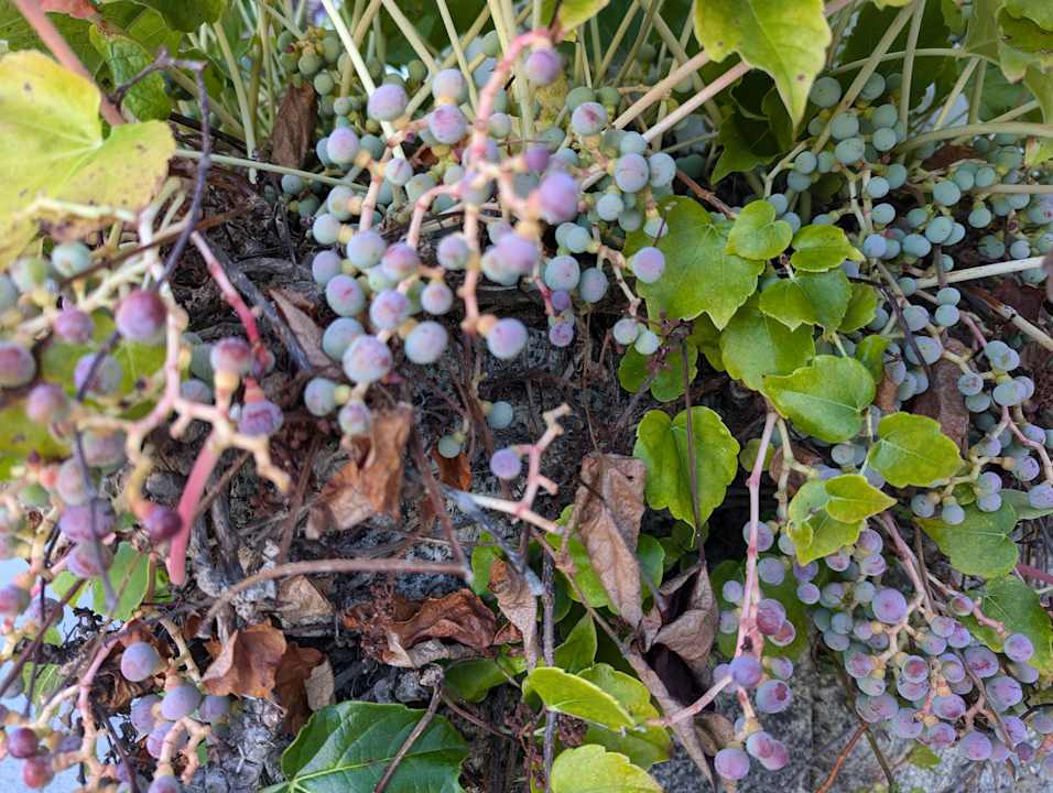 Gartenanlage Aldiana Club Rocca Nettuno Calabria