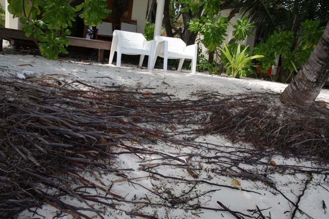 Blick vom Wasser zur Bungalowterrasse Kuramathi Maldives