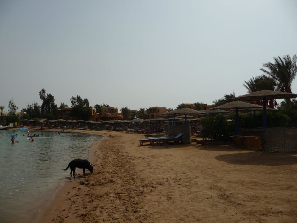 Hotel Three Corners Rihana  Three Corners Rihana Resort Deluxe