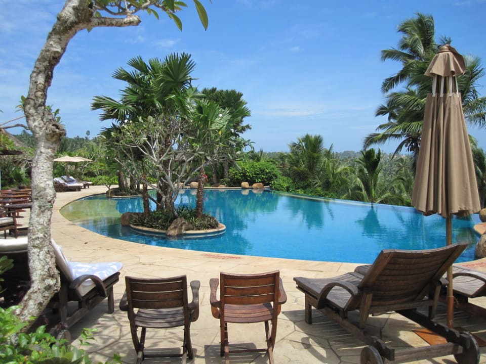 Pool Hotel Vivanta by Taj Kovalam