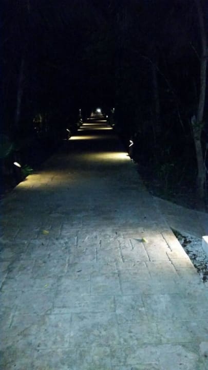 Hotel Catalonia Playa Maroma Catalonia Playa Maroma