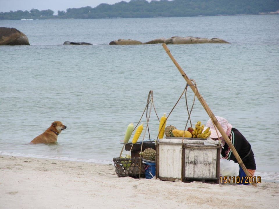 Mittagsessen The Fair House Beach Resort