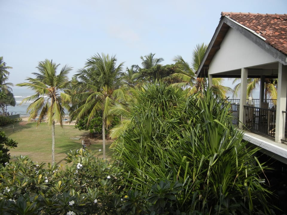 Aussicht vom Balkon (Zi.Nr. 302) Earl’s Reef Beruwala