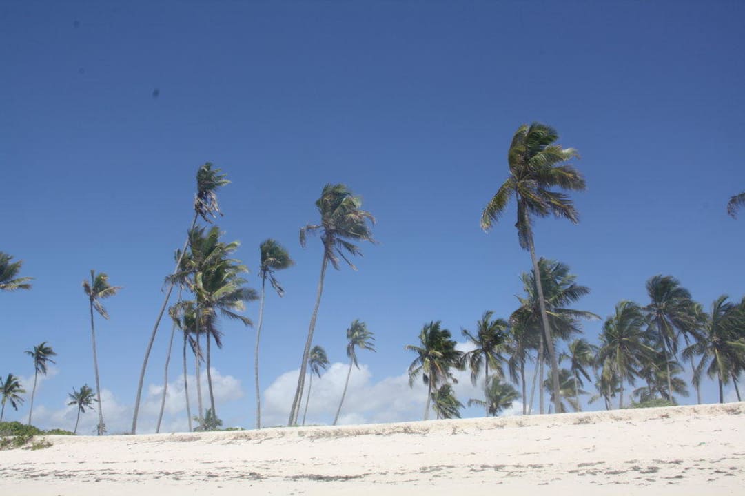 Traumhaft Hotel Southern Palms Beach Resort