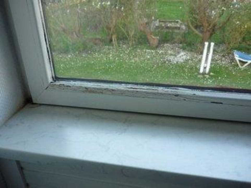 Wohnraumfenster Hotel Reetdachhaus Gräftendiek Drei