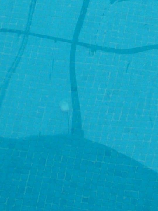 Pool Hotel Dom Pedro Garajau