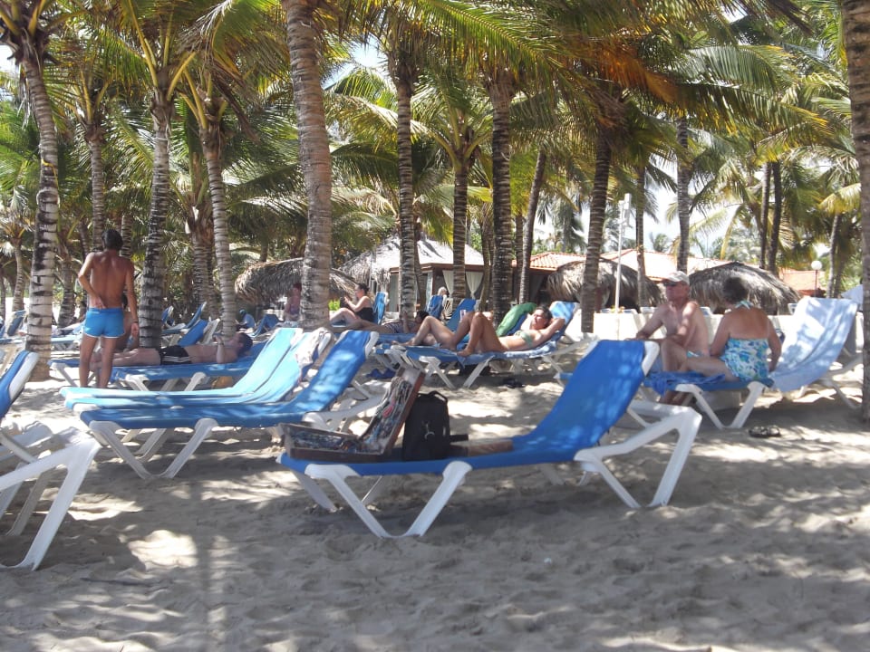Frühmorgens Viva Tangerine by Wyndham - All Inclusive Resort