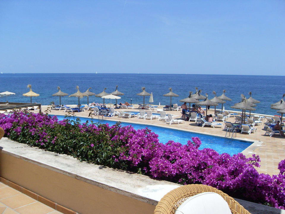 Hotelterrasse mit Meerblick Grupotel Aguait Resort & Spa - Adults only