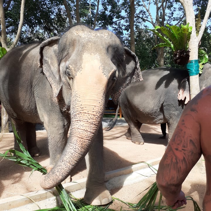 Sonstiges Hotel Mai Samui Beach Resort & Spa