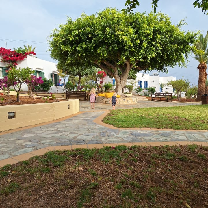 Gartenanlage TUI SUNEO Chrissi Amoudia