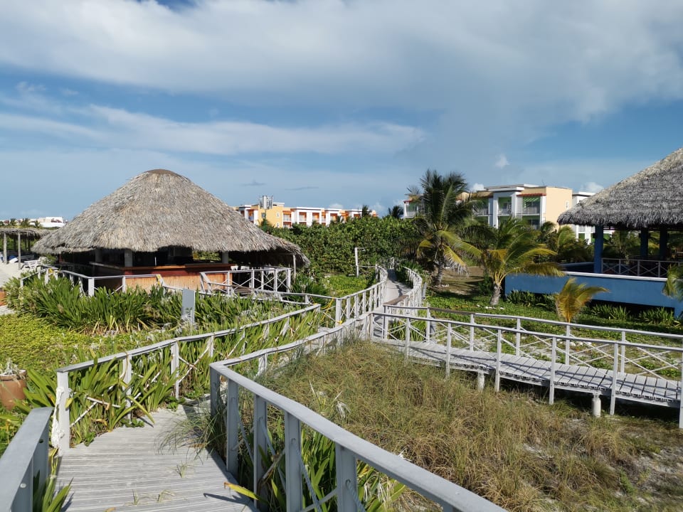 Garten Playa Cayo Santa Maria