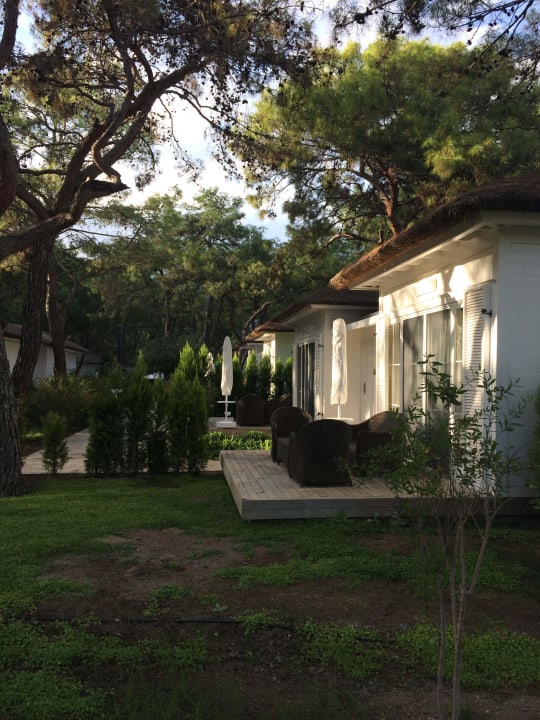 C-Bereich Nirvana Mediterranean Excellence