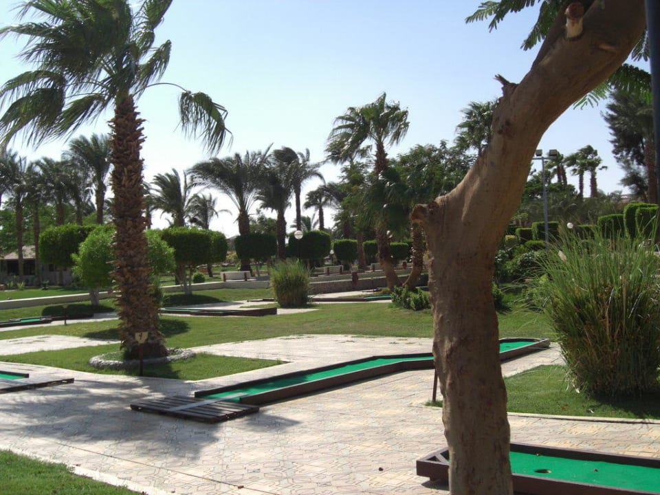 Minigolf Beach Albatros Resort