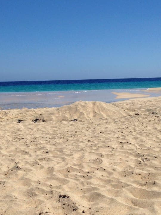 Magic life hat den perfekten Strand! TUI MAGIC LIFE Fuerteventura