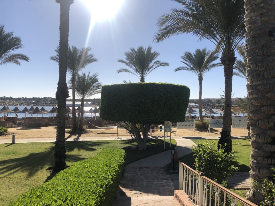 Gartenanlage Steigenberger Coraya Beach - Adults only