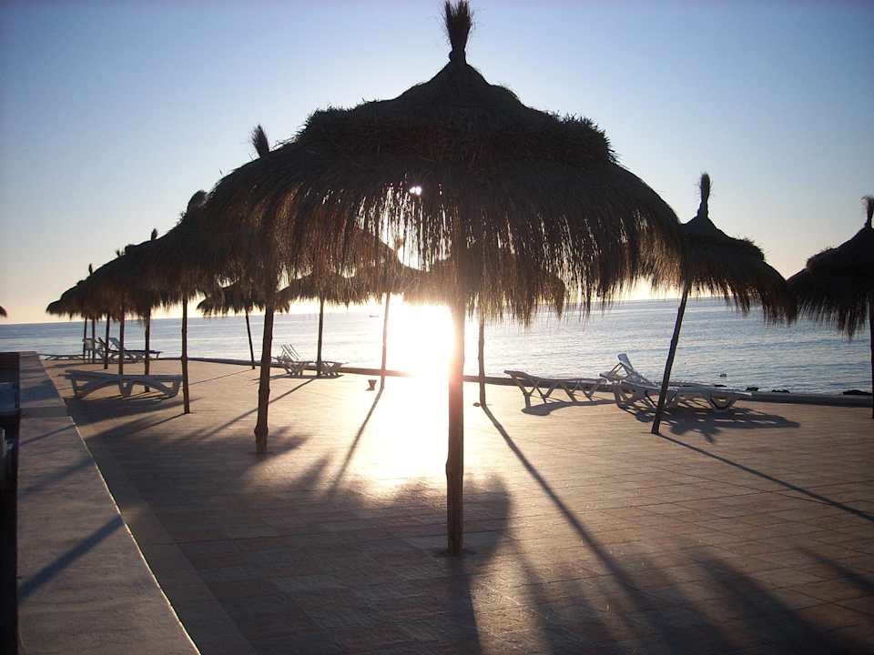 Sonnenterrasse am Meer Hotel El Mouradi Djerba Menzel