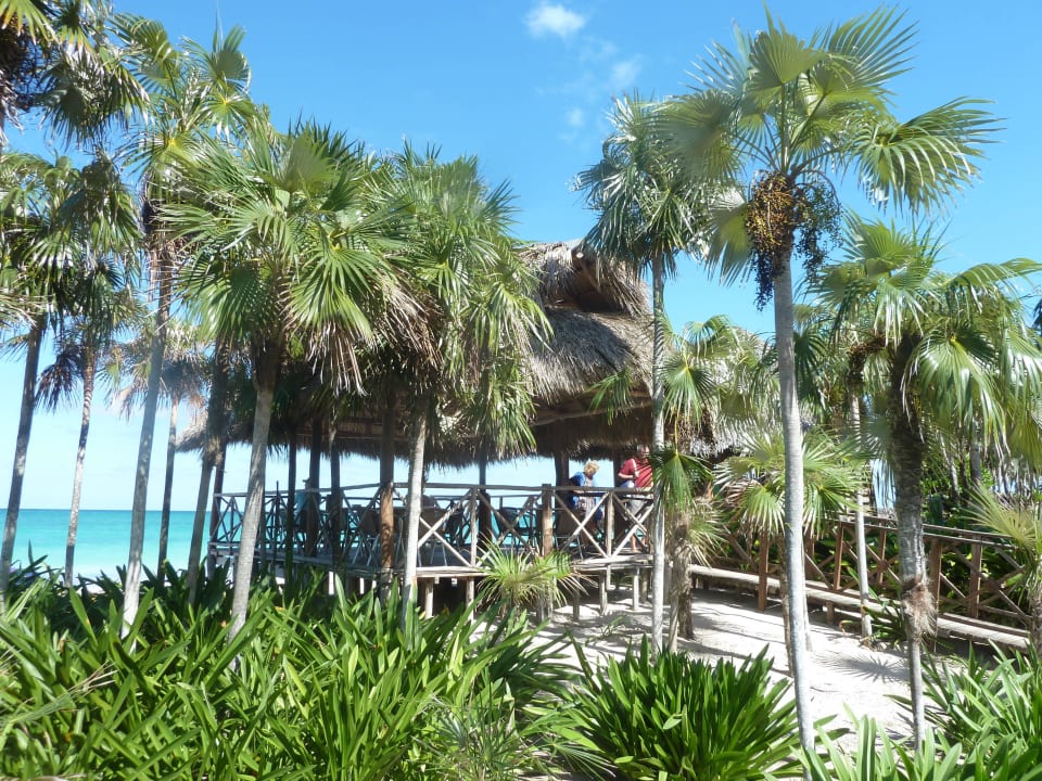 Strandbar Hotel Melia Cayo Coco - Adults only