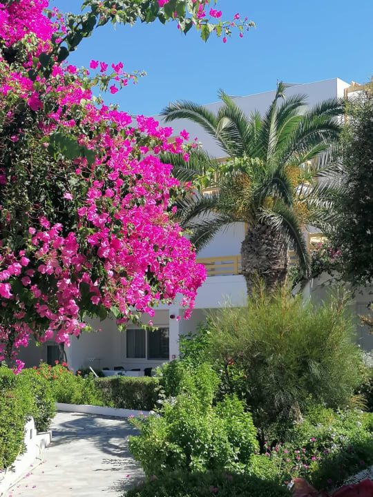 Gartenanlage Hotel Mastichari Beach