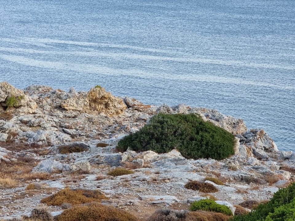 Gartenanlage Hotel Kalithea Horizon Royal