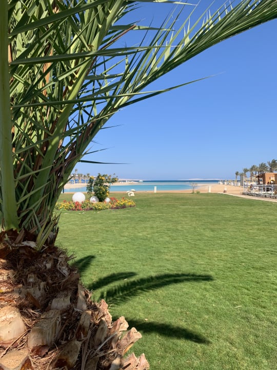 Gartenanlage Gravity Hotel & Aqua Park Hurghada