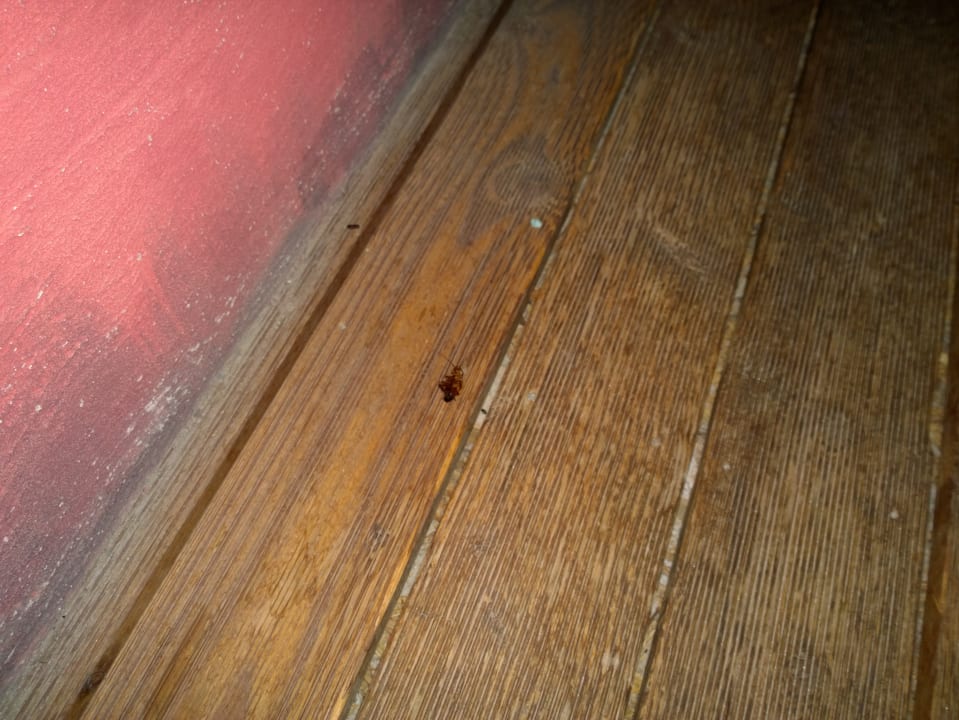 Sonstiges Tropical Islands Resort