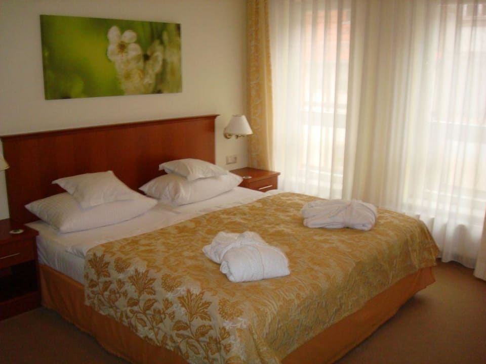 Zimmer 205 Hotel Wyndham Garden Quedlinburg Stadtschloss