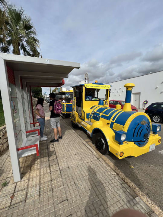 Sonstiges blau punta reina