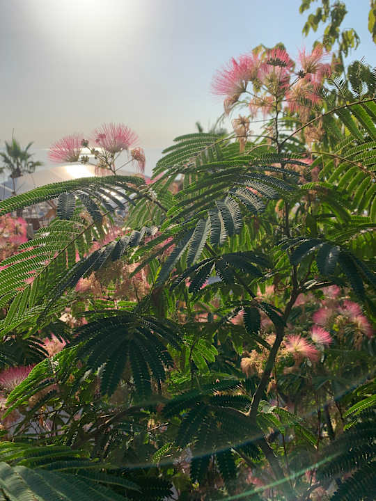 Außenansicht Sentido Marea