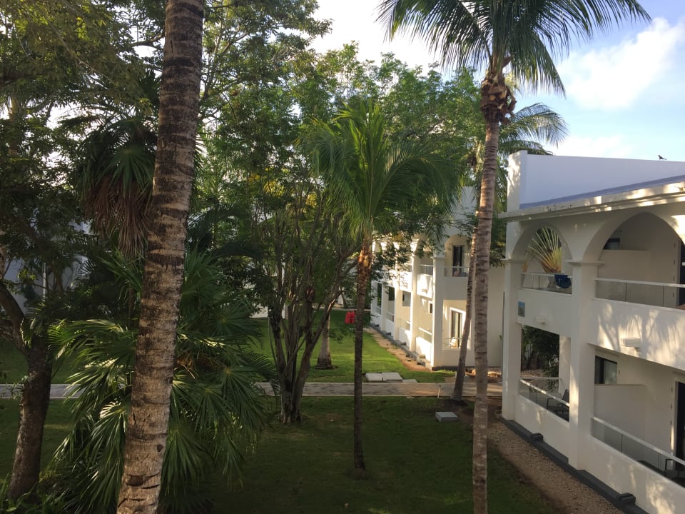 Ausblick Hotel Riu Tequila