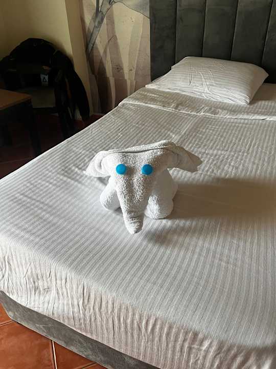 Zimmer Three Corners Sea Beach Resort